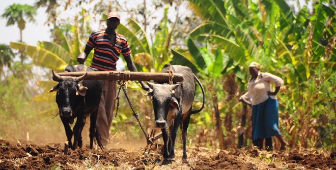 Daily Life in Rural Kenya